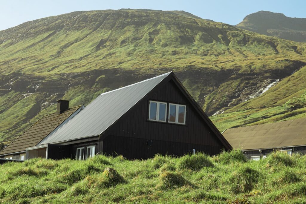 Nature and mental health